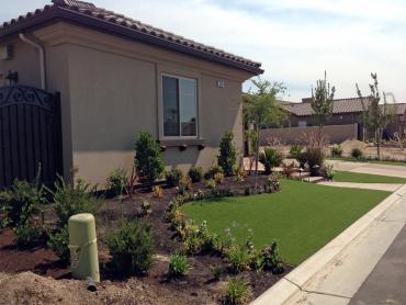 Artificial Grass Photos: Artificial Pet Turf Oceanside California Lawns